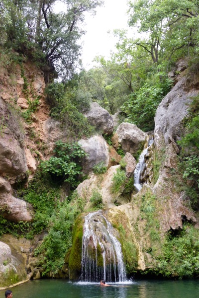 Niu de l'Àliga
