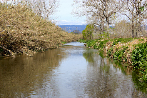 Río Francolí