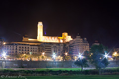 La Seu Vella de nit